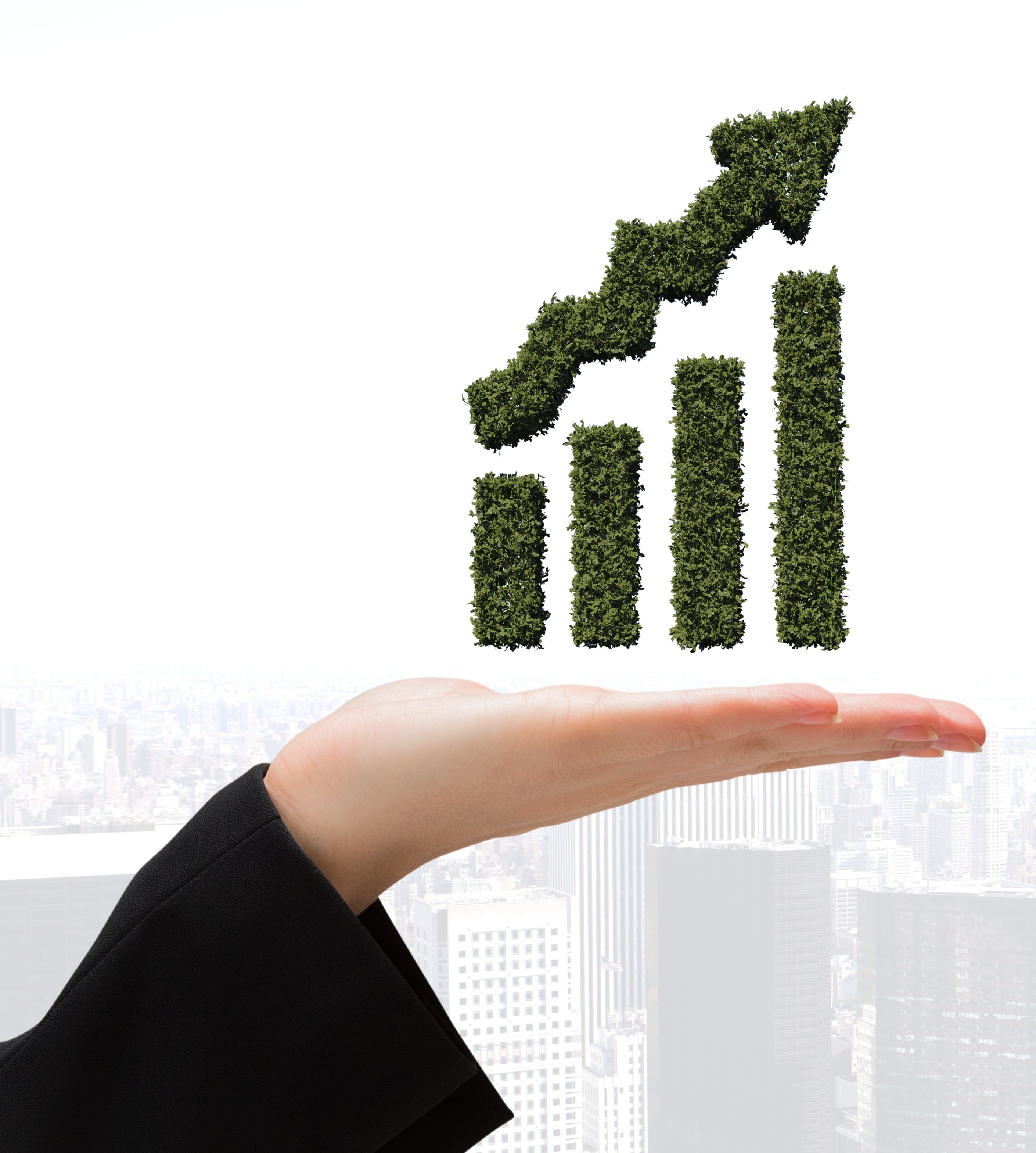 Professional Financial Services Team - Innovate Securities Investment Experts
